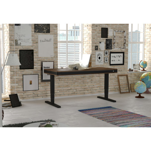 moll Funktion 2020 A moll T7 exclusiv schwarz_1